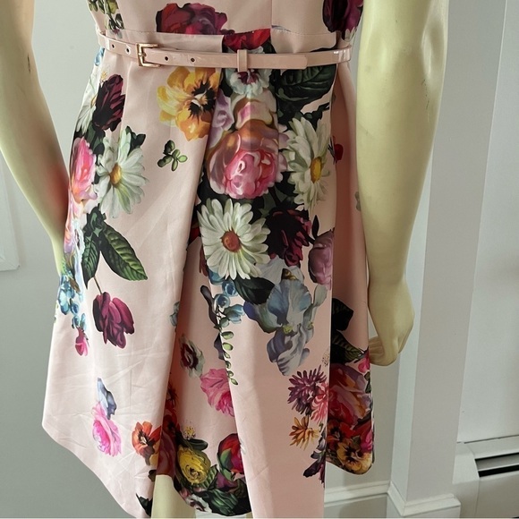 Ted BAKER DEAVON WOMEN'S OIL PAINTING Floral Sleeveless Belted DRESS NUDE PINK 6 - Picture 9 of 15